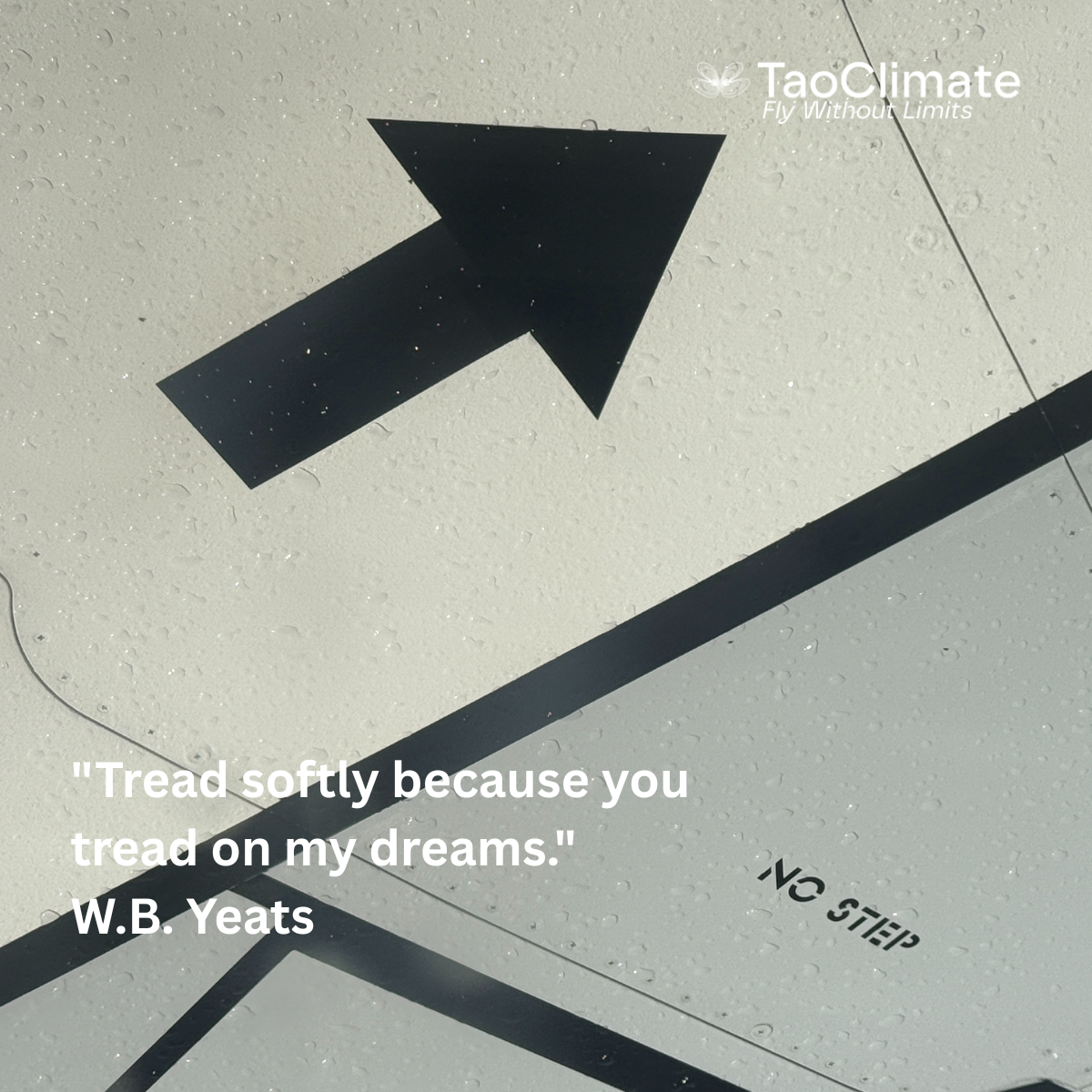 Tread Softly - Tao Climate